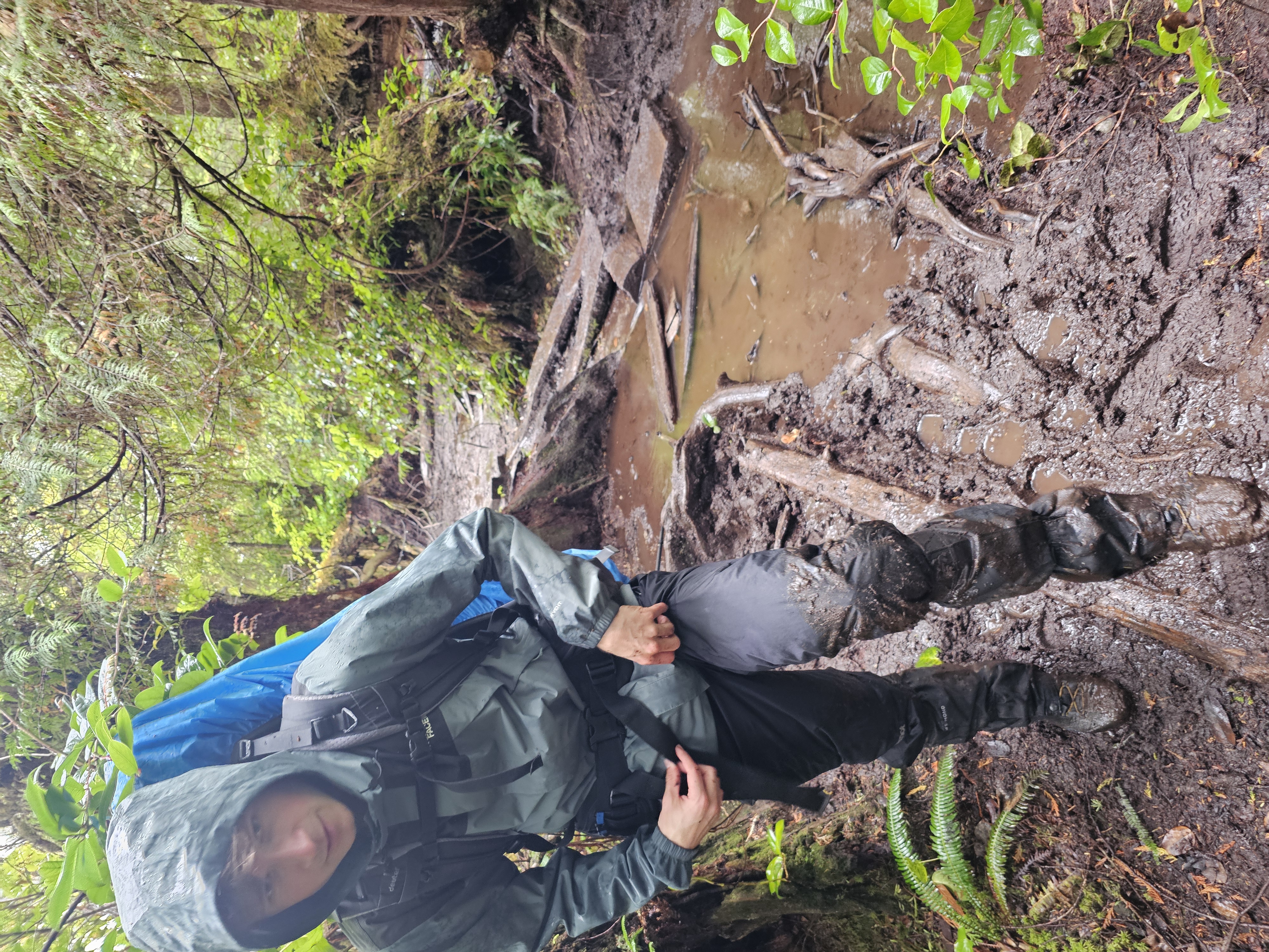 Schlammpfade im Regenwald